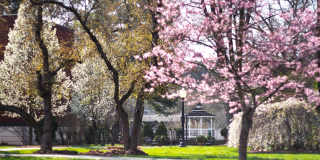 Highland Park Club Gallery 11