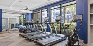 River House Gallery 36