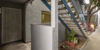 1463 Essex Street #2 - 1 Gallery 2