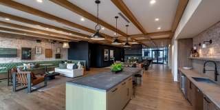 The Frank Gallery 14