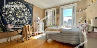 XL Modern & Sunny Apt near T!  Perfect for BU students and working pros alike! Gallery 14
