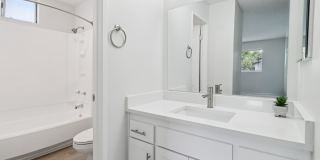 Vista Waterleaf Apartments Gallery 12