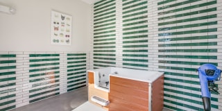 Aventura on Briar Forest Gallery 23