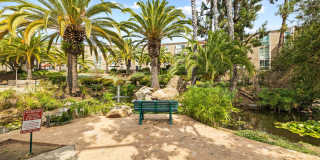 3054 Rue Dorleans Gallery 34