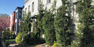 1718 1st St Nw Gallery 22