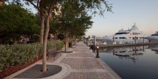 Sunrise Harbor Gallery 26