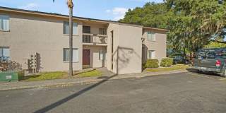 Cozy 2 Bed 1.5 Bathroom in Temple Terrace Gallery 3