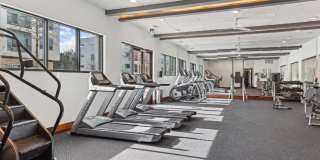 The Skylark Gallery 10