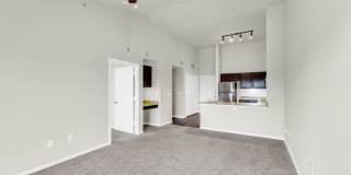 Still Waters Still Waters Gallery 13