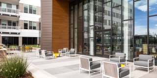 Fellow at Fitz Gallery 24