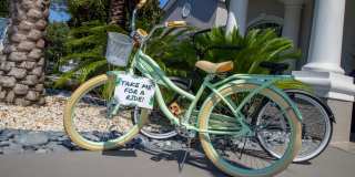 Banyan Bay Gallery 34