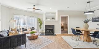 Concord Park Gallery 19