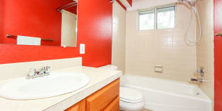 Spacious 3-Bedroom Home with Unfinished Basement in Prime Midtown Fort Collins Location Gallery 21