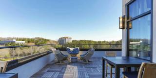 The Lights at Northwinds Gallery 20