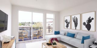 Sundodger Gallery 23