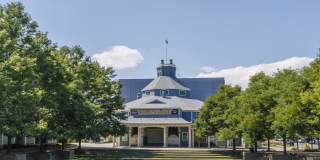 Trocadero Gallery 38