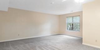 3 Bed/2 Bath Pet Friendly Bus Route. Parking. Gallery 3