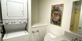 Recently Renovated 1 Bedroom in Honolulu Gallery 12