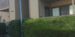 1609 WOODHOLLOW Drive Gallery 1