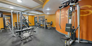 Allura Las Colinas Gallery 10