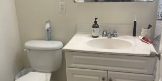 Stunning 2 bed , Free Month/No fee Exposed brick, Central AAC, Porch Super Sunny Awesome layout!  12.1 ot 10.1.2026 Gallery 8