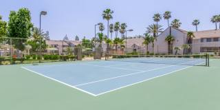 Palm Court Apartment Homes Gallery 6