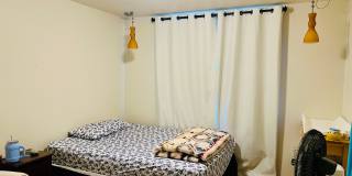 2914 Leslie Park Circle Gallery 5