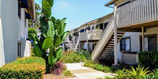 La Jolla Canyon Gallery 22