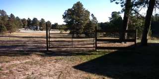 Black Forest Horse Property Gallery 1