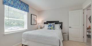 Verve 261 Gallery 17