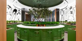 The Noble Gallery 13