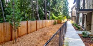 2 Bedroom 1 Bath 957 sq ft Gallery 185