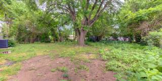Recently Remodeled 3 Bed 1 Bath! Gallery 16
