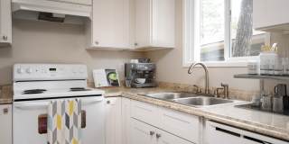 Forest Ridge Gallery 1