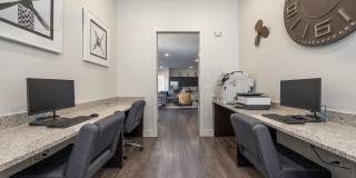 Moonlight Gallery 24