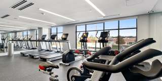 The Point at Woburn Gallery 30