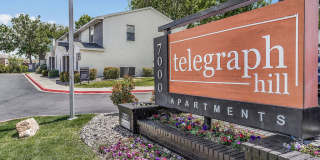 Telegraph Hill Gallery 8