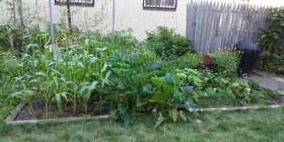 247 GROVE ST Gallery 8