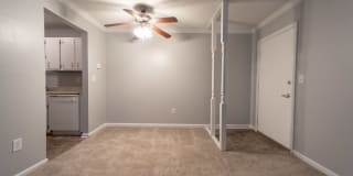 Tarpis Woods Gallery 2