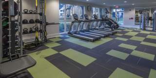 Mariner Grove Gallery 13