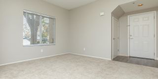 Avery at TownCentre Gallery 60