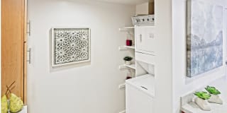 Thomas Court Gallery 8