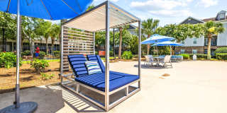 Olympus Carrington Gallery 23