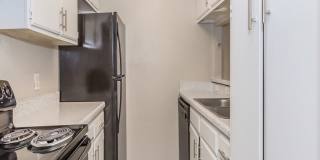 Ayla at Castle Hills Gallery 15