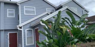 761 CARIBBEAN Drive Gallery 2