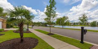 Emmens Preserve - Market Common Gallery 7