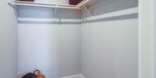 Aurora at Green Valley Gallery 14