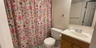 $0 DEPOSIT OPTION. 4 BEDROOM 3 BATHROOM HIGHLANDS RANCH HOUSE NEAR CHATFIELD STATE PARK Gallery 33