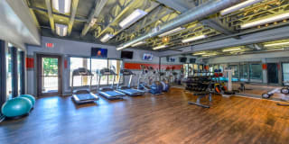 Hampton Woods Gallery 17