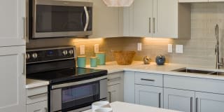 Palmetto Promenade Gallery 5